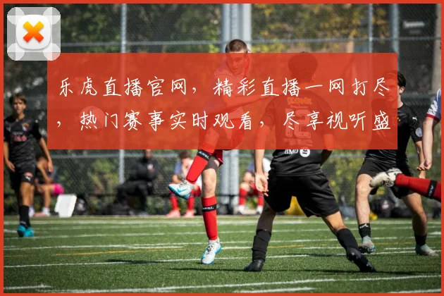 乐虎直播官网，精彩直播一网打尽，热门赛事实时观看，尽享视听盛宴，不容错过